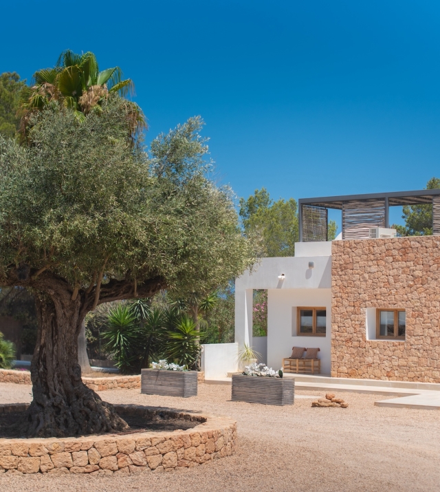 Resa Estates finca Can Floral Ibiza sale koop olive tree.jpg